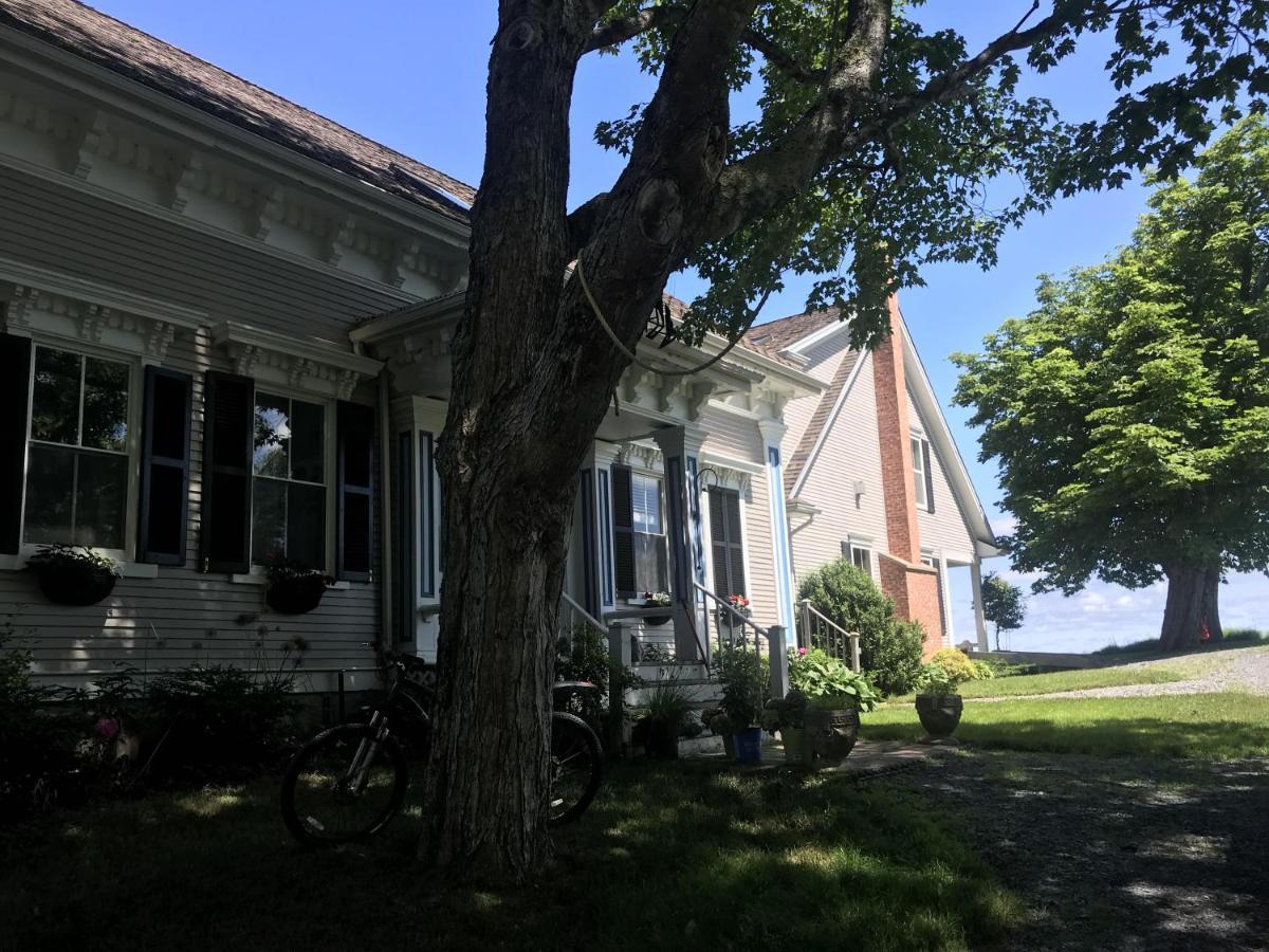 Cresthaven By The Sea Bed & Breakfast South Maitland Екстериор снимка